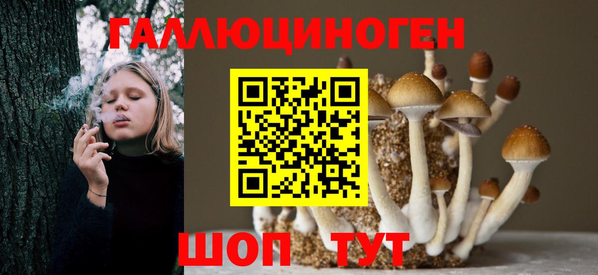 Мичуринск  Псилоцибиновые грибы Cubensis  Вход с VPN  Галлюциногенные грибы GOLDEN TEACHER 